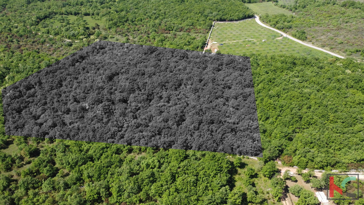 ISTRA - VODNJAN, ZEMLJIŠČE 18.775 m2, PRODAJA
