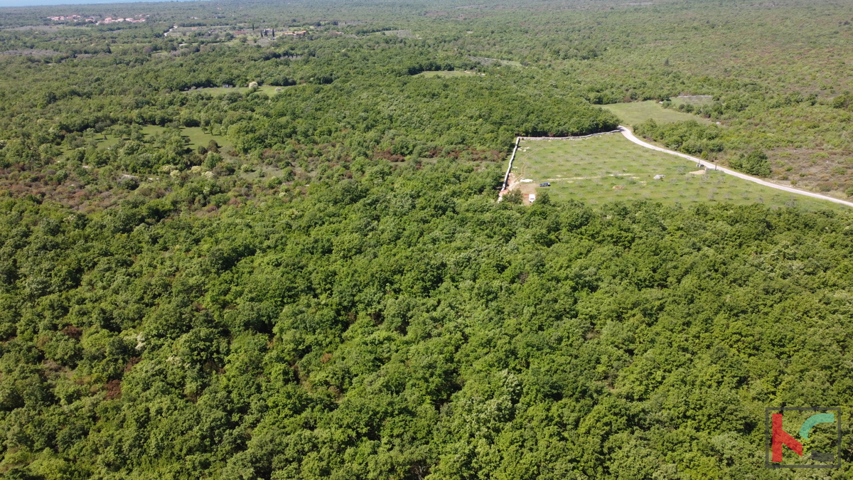 ISTRA - VODNJAN, ZEMLJIŠČE 18.775 m2, PRODAJA