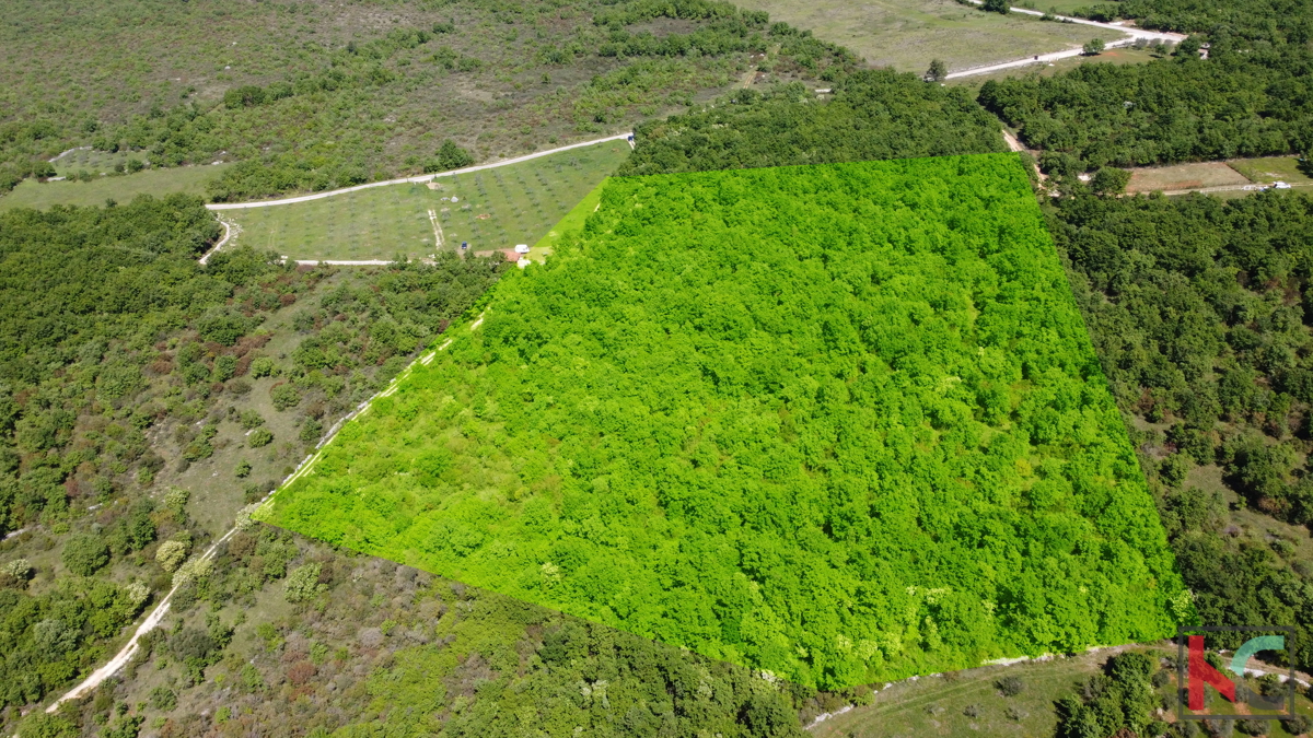 ISTRA - VODNJAN, ZEMLJIŠČE 18.775 m2, PRODAJA