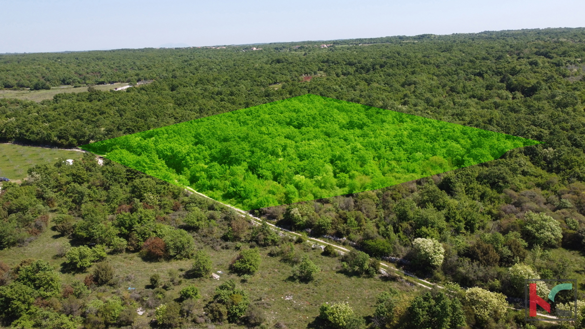 ISTRA - VODNJAN, ZEMLJIŠČE 18.775 m2, PRODAJA