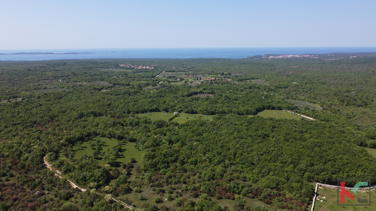 ISTRA - VODNJAN, ZEMLJIŠČE 18.775 m2, PRODAJA