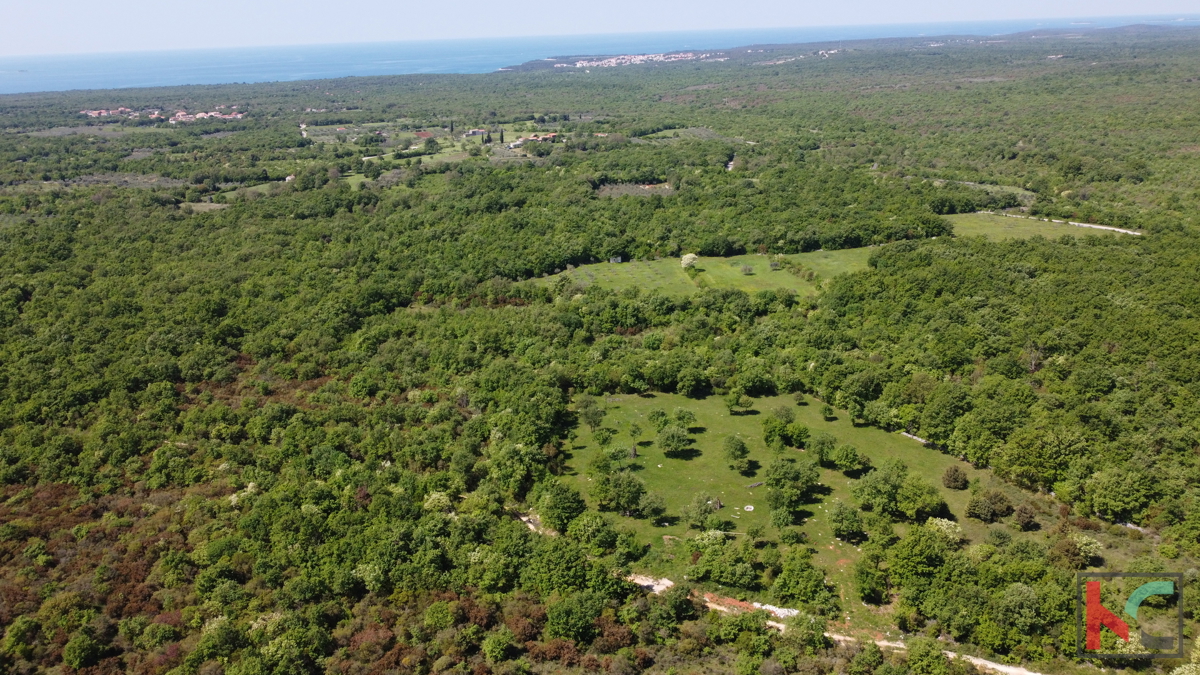ISTRA - VODNJAN, ZEMLJIŠČE 18.775 m2, PRODAJA