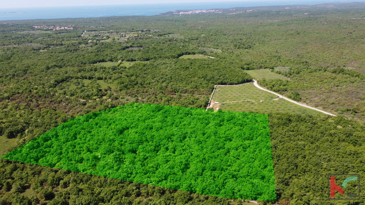 ISTRA - VODNJAN, ZEMLJIŠČE 18.775 m2, PRODAJA