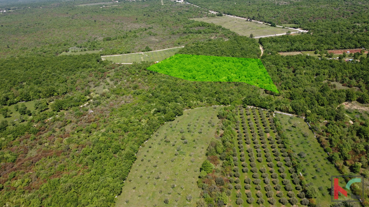 ISTRA - VODNJAN, ZEMLJIŠČE 18.775 m2, PRODAJA