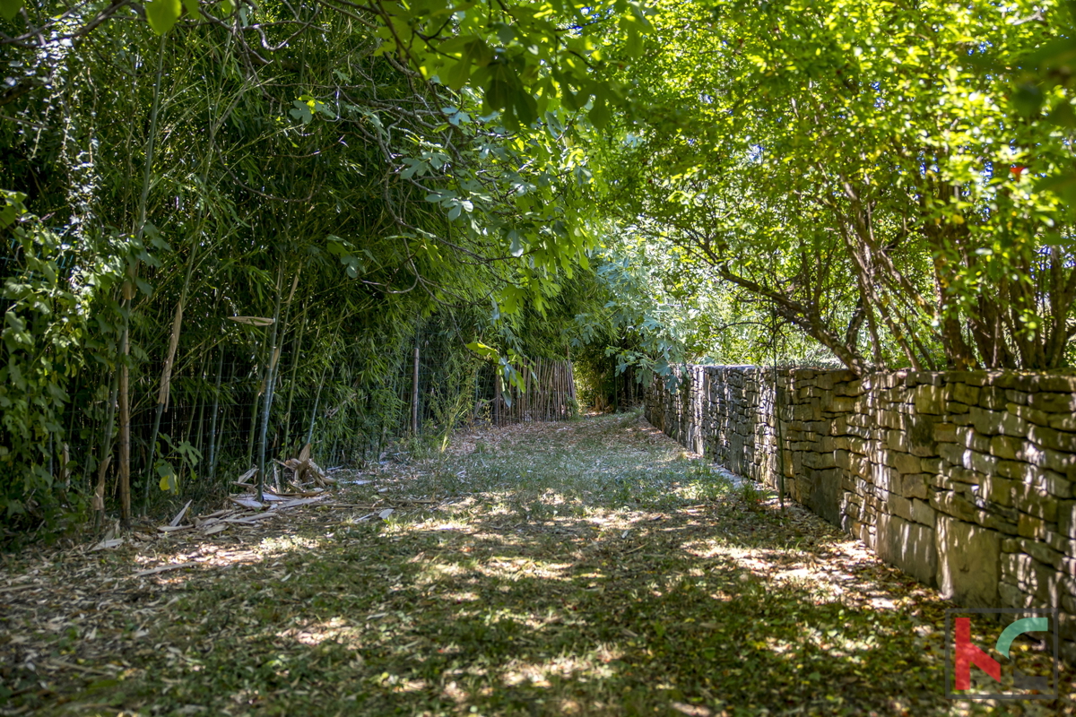 ISTRA, BOLJUN, PRODAJAMO VAS VAS NA FANTASTIČNI LOKACIJI Z LEPIM RAZGLEDOM #PRODAJA