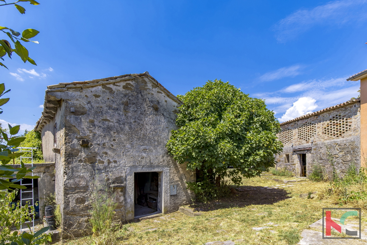 ISTRA, BOLJUN, PRODAJAMO VAS VAS NA FANTASTIČNI LOKACIJI Z LEPIM RAZGLEDOM #PRODAJA
