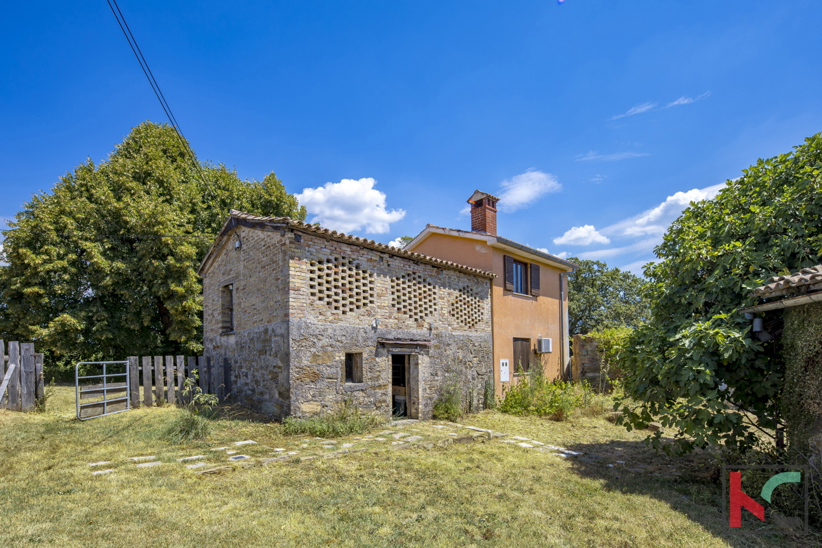 ISTRA, BOLJUN, PRODAJAMO VAS VAS NA FANTASTIČNI LOKACIJI Z LEPIM RAZGLEDOM #PRODAJA