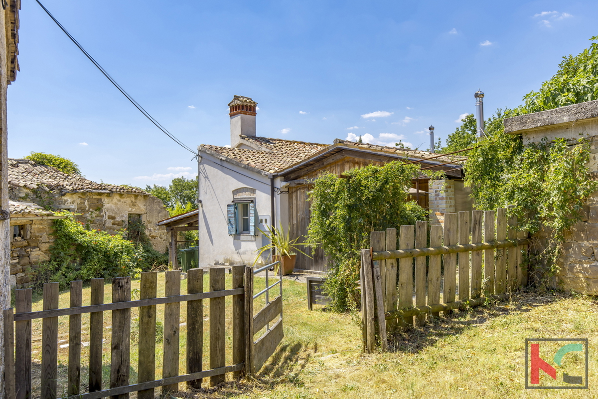 ISTRA, BOLJUN, PRODAJAMO VAS VAS NA FANTASTIČNI LOKACIJI Z LEPIM RAZGLEDOM #PRODAJA