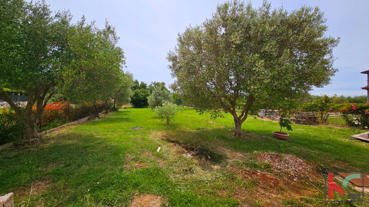 Šišan, samostojna hiša 101 m2 na površini 1104 m2, mirna lokacija, dobra naložba #prodaja