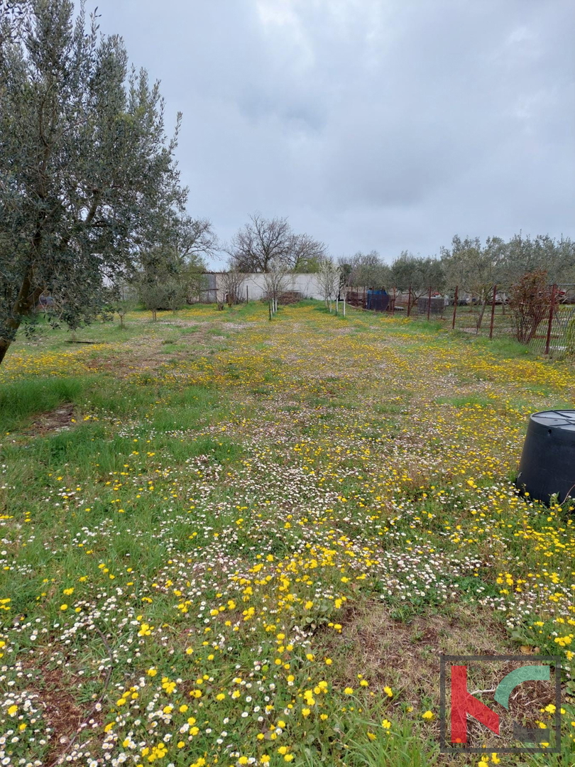 Šišan, samostojna hiša 101 m2 na površini 1104 m2, mirna lokacija, dobra naložba #prodaja