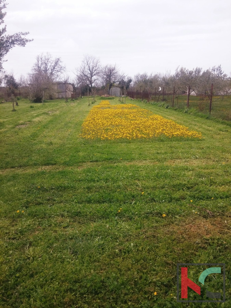 Šišan, samostojna hiša 101 m2 na površini 1104 m2, mirna lokacija, dobra naložba #prodaja