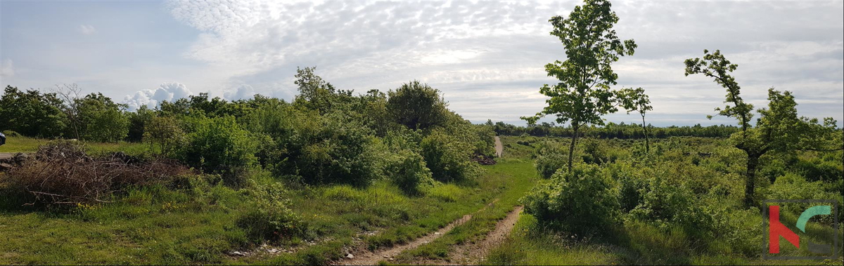 Istra - Marčana, hiša 141m2 na prostorni parceli 26.288m2 na mirni lokaciji, #prodaja
