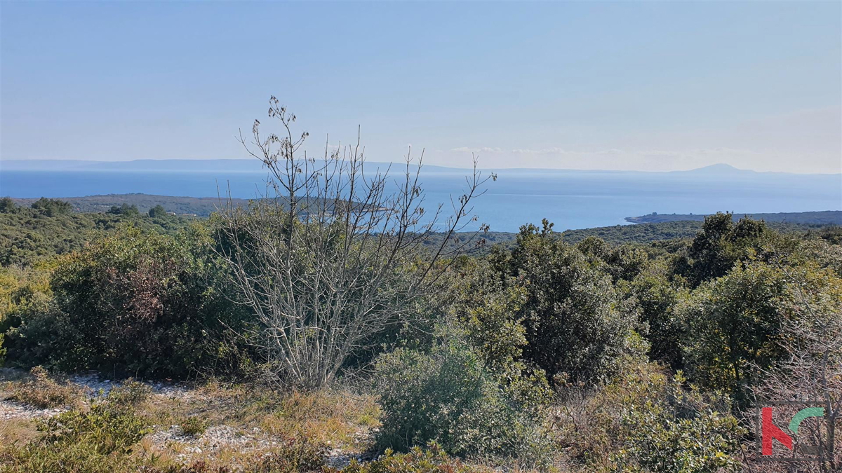 Istra - Pavićini - Duga uvala, zemljišče 9000m2 s panoramskim pogledom na morje