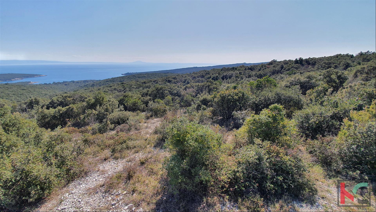Istra - Pavićini - Duga uvala, zemljišče 9000m2 s panoramskim pogledom na morje