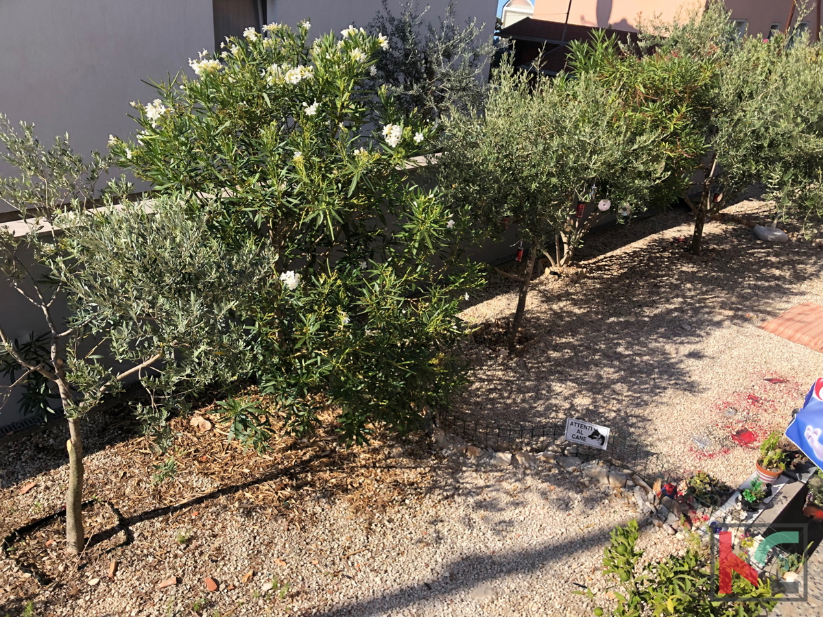 Istra, Fažana, stanovanje 52,06 m2, 2 ss, #prodaja