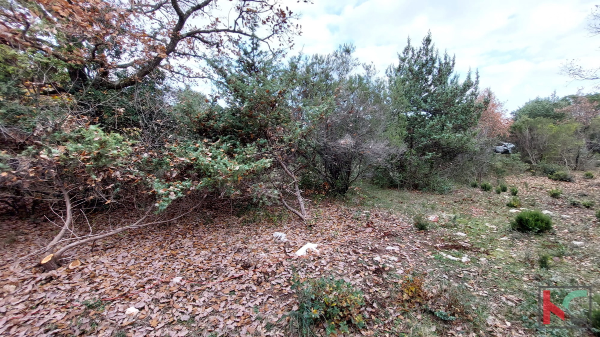 Istria, Peruški, gradbena zemljišča 1345 m2, #prodaja
