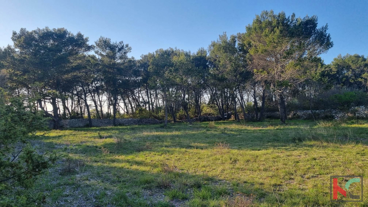 Istra, Vodnjan, prodamo kmetijsko zemljišče pravilne oblike, 2991m2