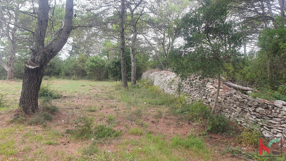 Istra, Vodnjan, prodamo kmetijsko zemljišče pravilne oblike, 2991m2