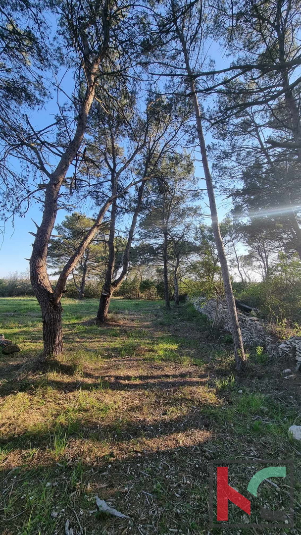 Istra, Vodnjan, prodamo kmetijsko zemljišče pravilne oblike, 2991m2