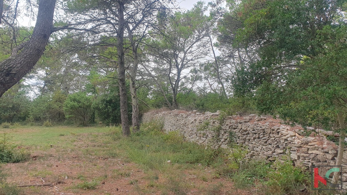 Istra, Vodnjan, prodamo kmetijsko zemljišče pravilne oblike, 2991m2