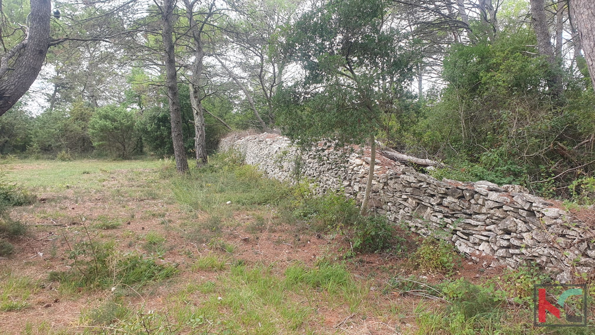 Istra, Vodnjan, prodamo kmetijsko zemljišče pravilne oblike, 2991m2