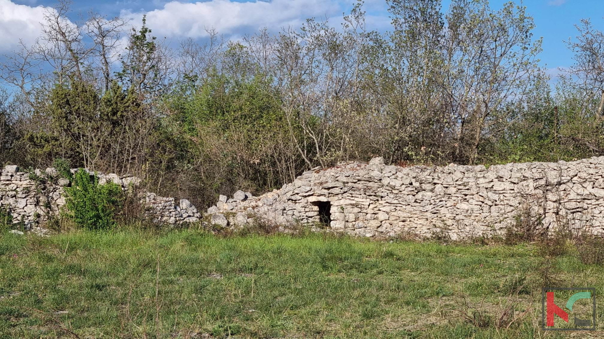 Istra, Vodnjan, prodamo kmetijsko zemljišče pravilne oblike, 2991m2