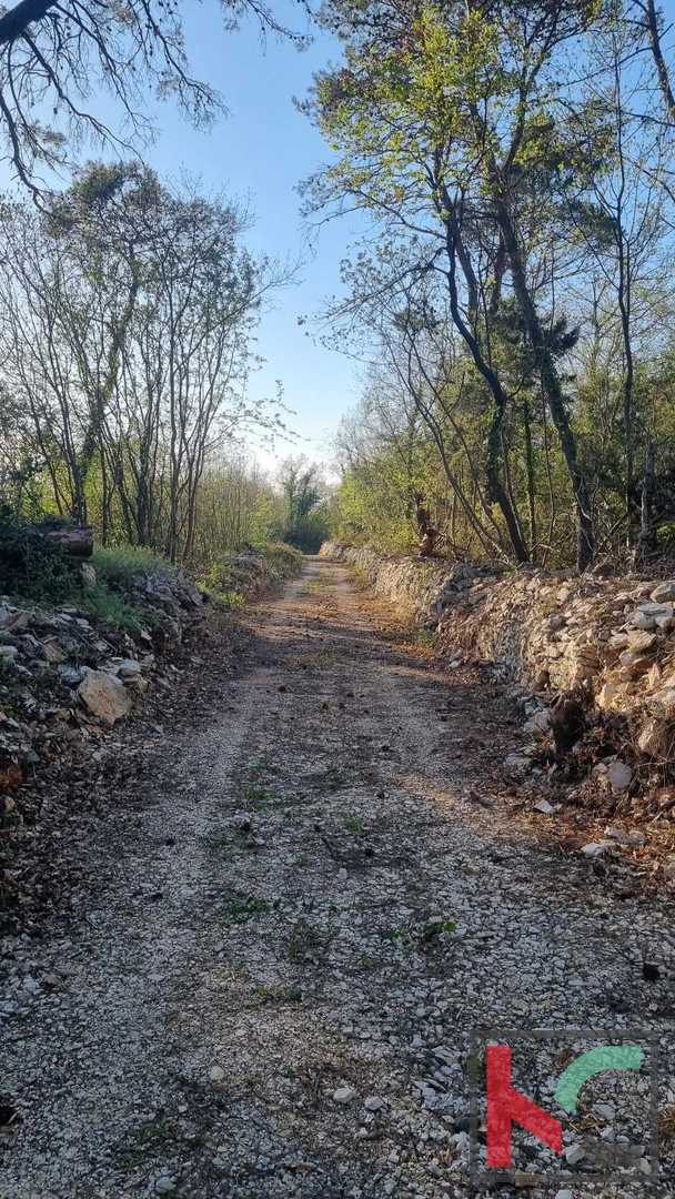 Istra, Vodnjan, prodamo kmetijsko zemljišče pravilne oblike, 2991m2