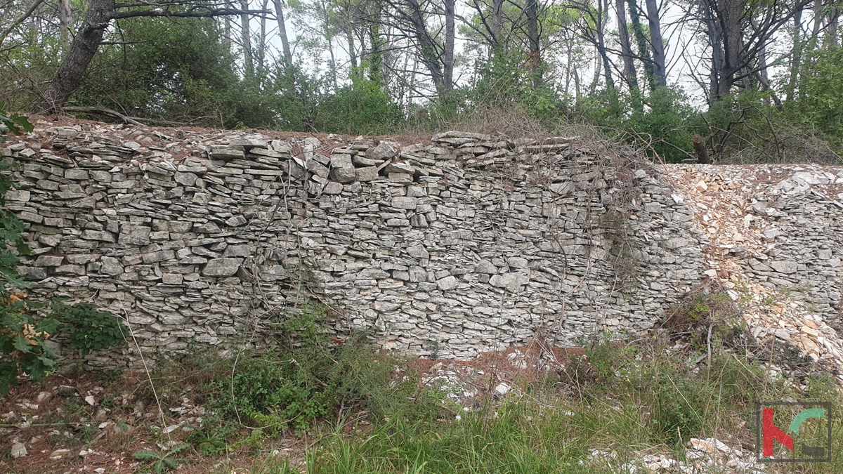 Istra, Vodnjan, prodamo kmetijsko zemljišče pravilne oblike, 2991m2