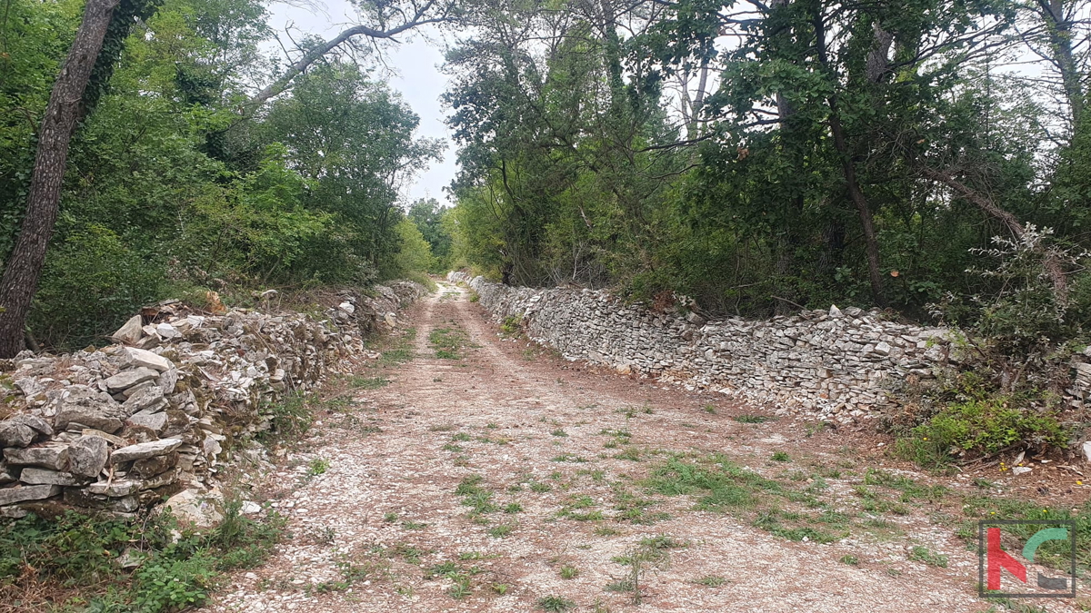 Istra, Vodnjan, prodamo kmetijsko zemljišče pravilne oblike, 2991m2