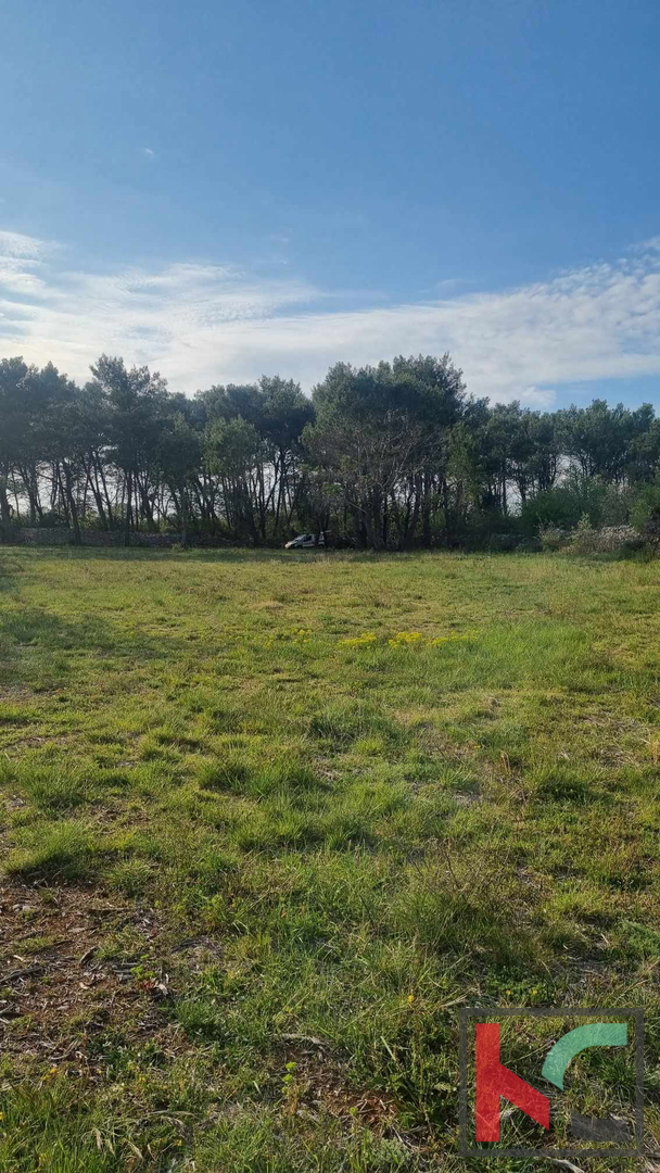 Istra, Vodnjan, prodamo kmetijsko zemljišče pravilne oblike, 2991m2