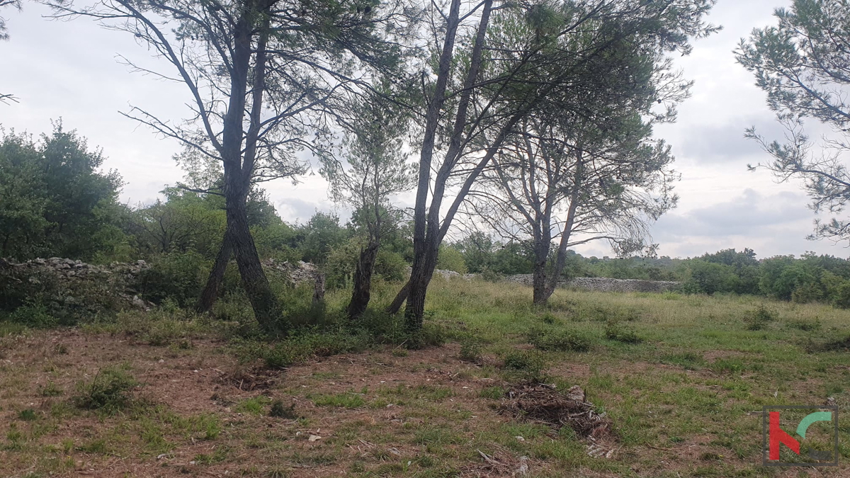 Istra, Vodnjan, prodamo kmetijsko zemljišče pravilne oblike, 2991m2