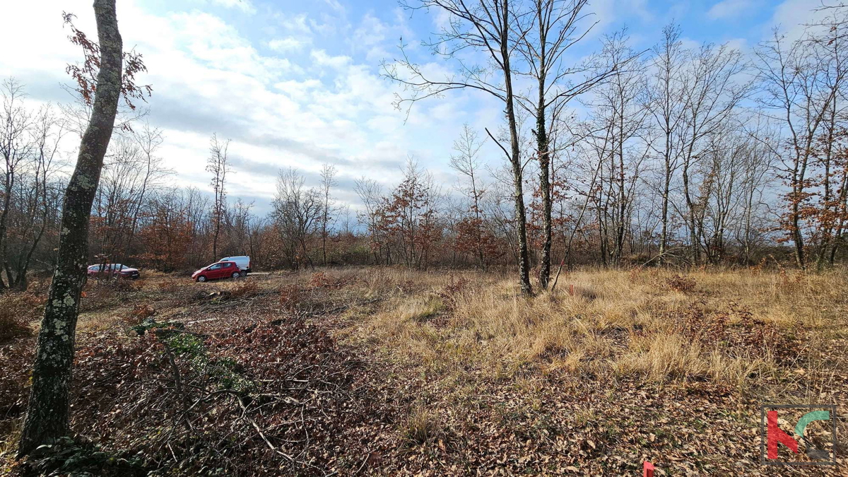 Istra, Gračišče, počitniška hiša z bazenom v izgradnji, vrt 1000m2, #prodaja