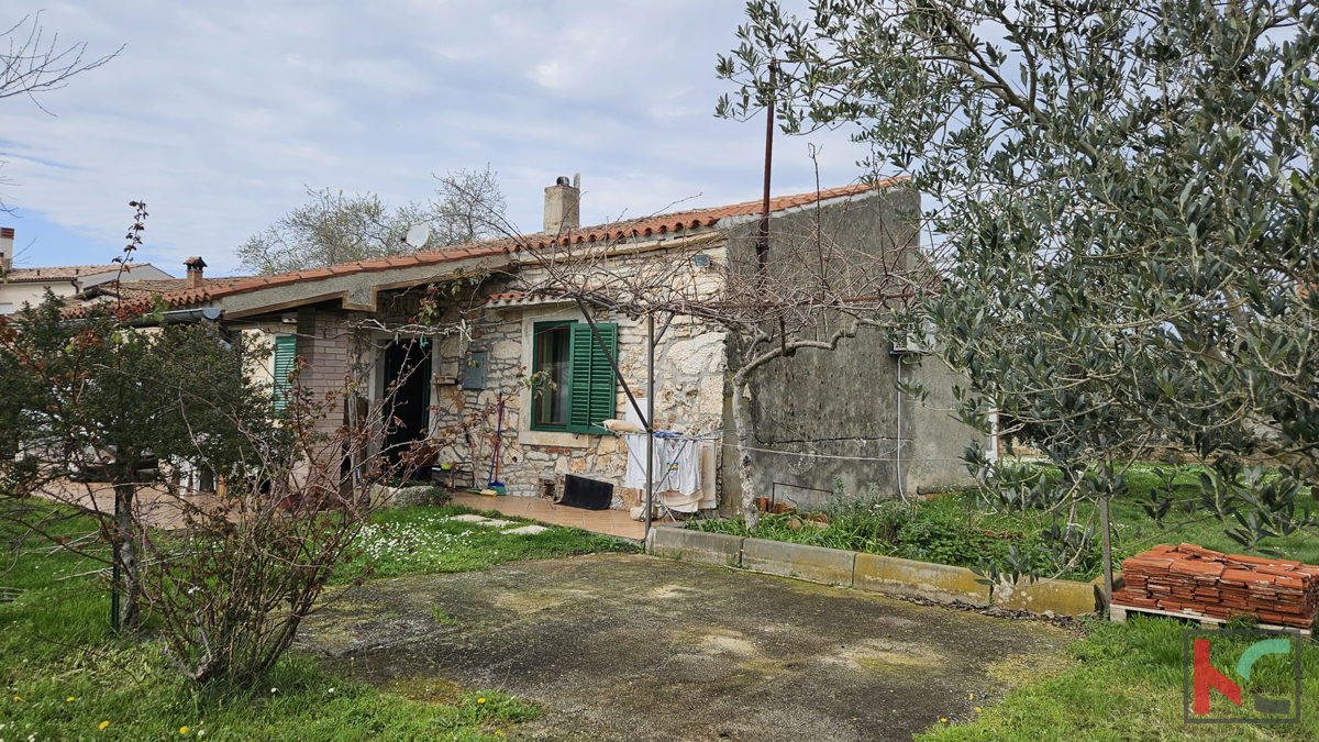 Istra, Pula, samostojna hiša s prostornim vrtom 1535m2 #prodaja