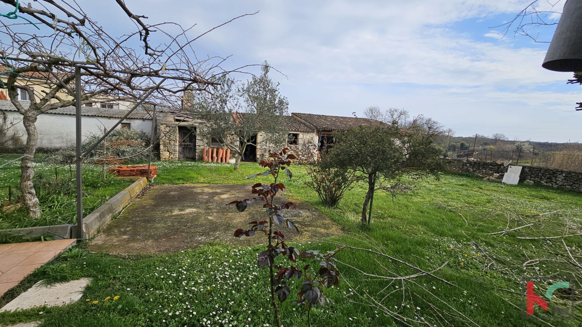 Istra, Pula, samostojna hiša s prostornim vrtom 1535m2 #prodaja