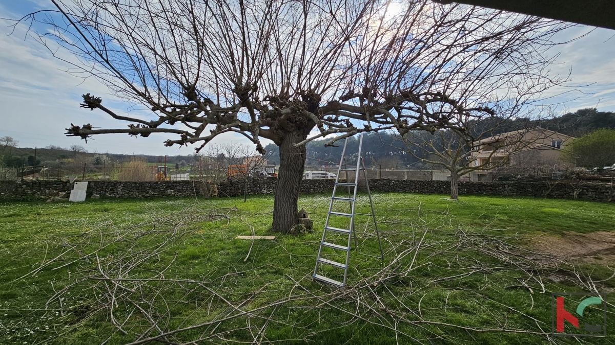 Istra, Pula, samostojna hiša s prostornim vrtom 1535m2 #prodaja