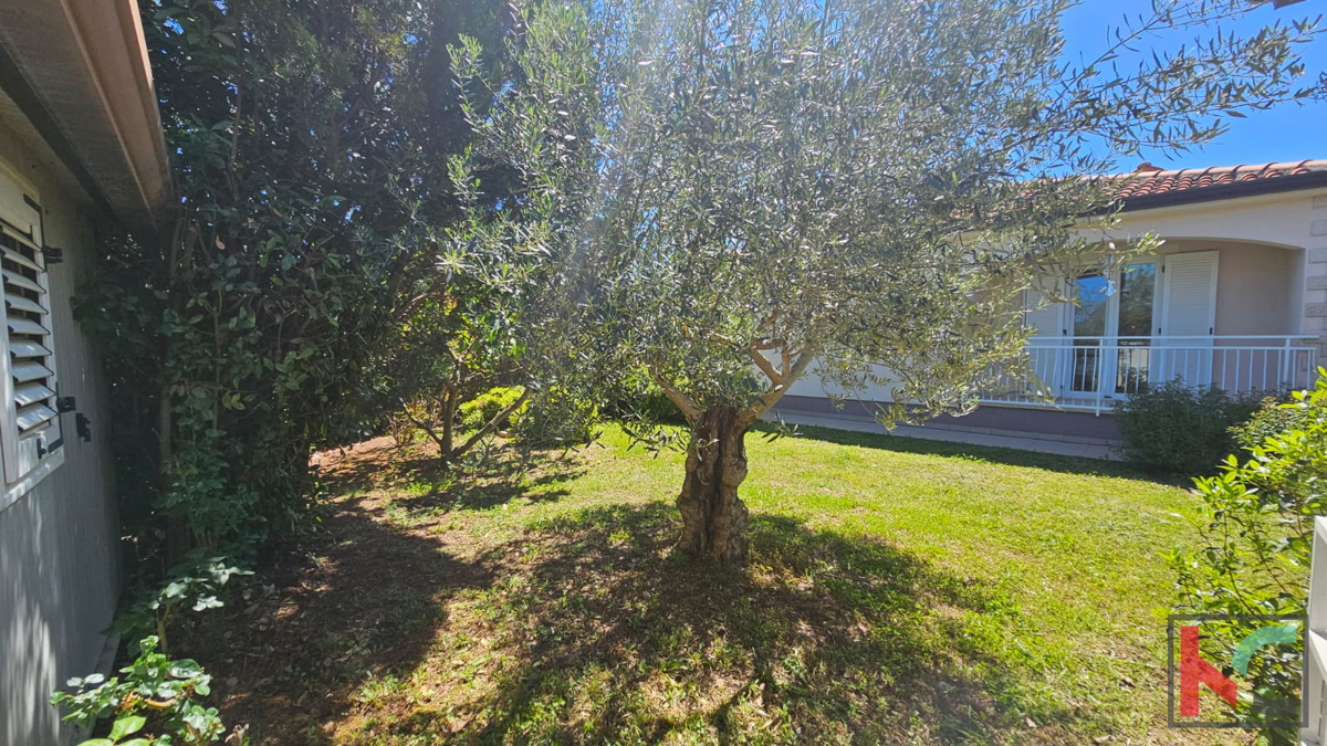 Istra, Sveti Lovreč, hiša z bazenom in vrtom, mirna lokacija, EKSKLUZIVNA PRODAJA, #prodaja