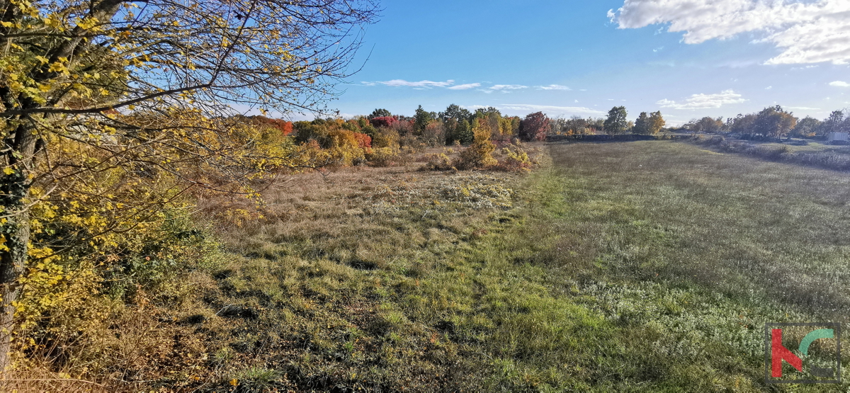 Istra, Kanfanar, Marići zazidljivo zemljišče 3671m2