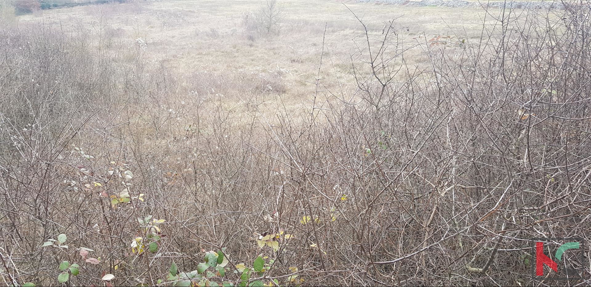 Istra, Kanfanar, Marići zazidljivo zemljišče 3671m2