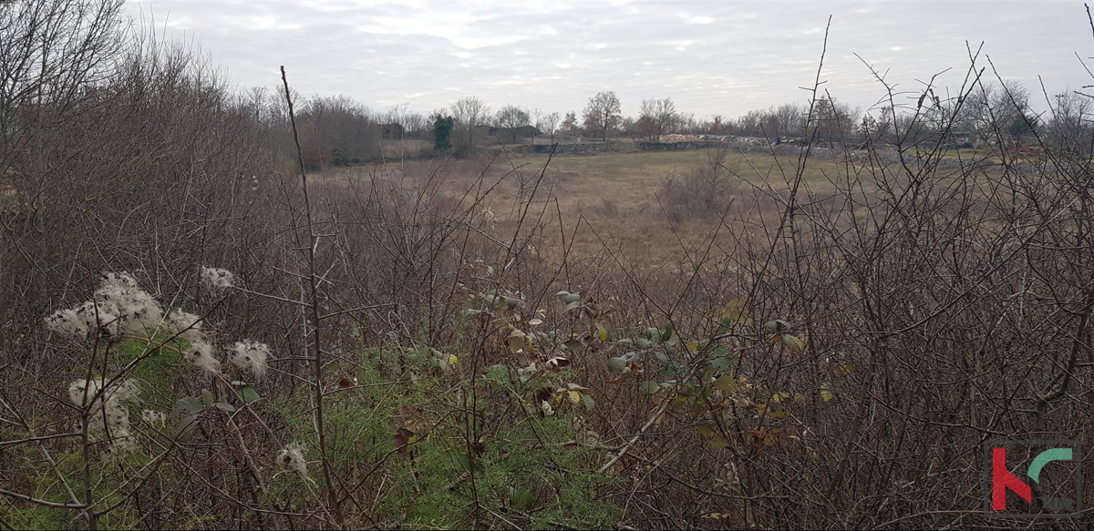 Istra, Kanfanar, Marići zazidljivo zemljišče 3671m2