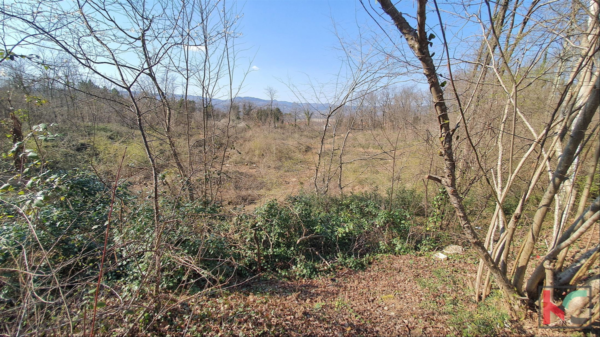 Istra - Potpićan stavbno zemljišče 10.128m2