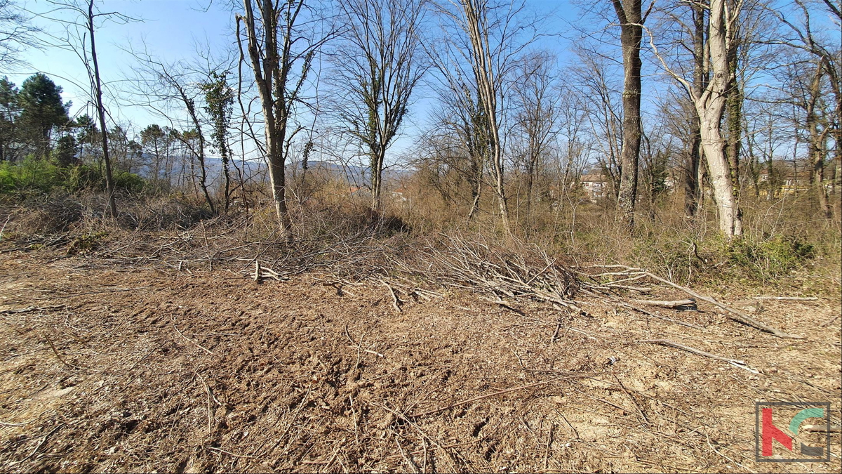 Istra - Potpićan stavbno zemljišče 10.128m2