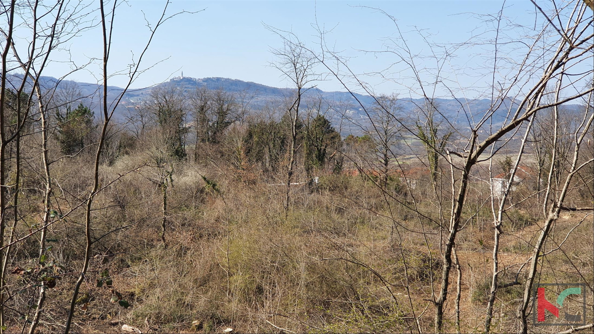 Istra - Potpićan stavbno zemljišče 10.128m2