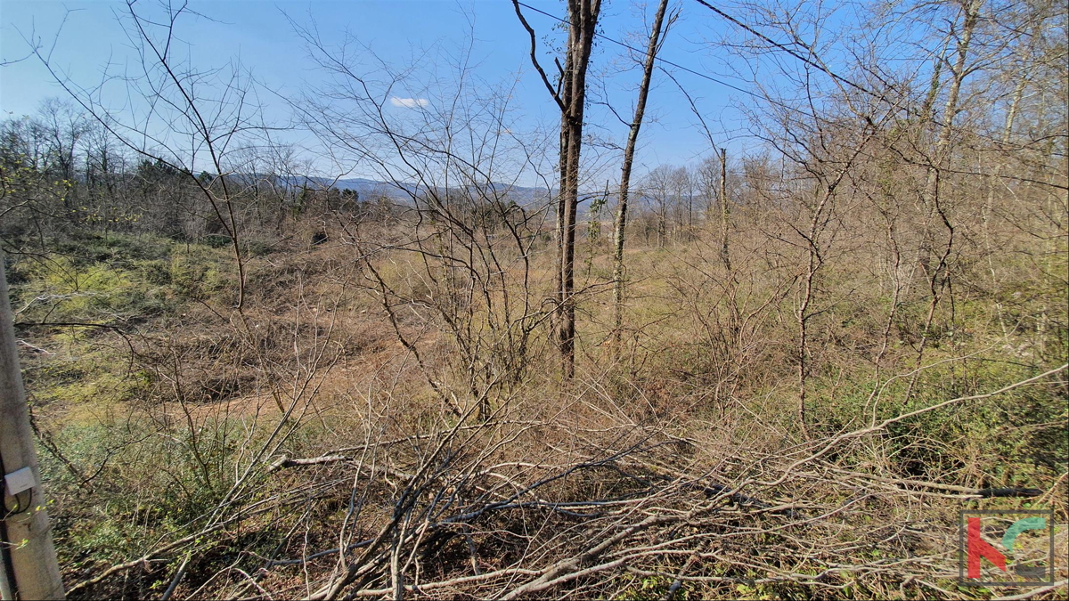 Istra - Potpićan stavbno zemljišče 10.128m2