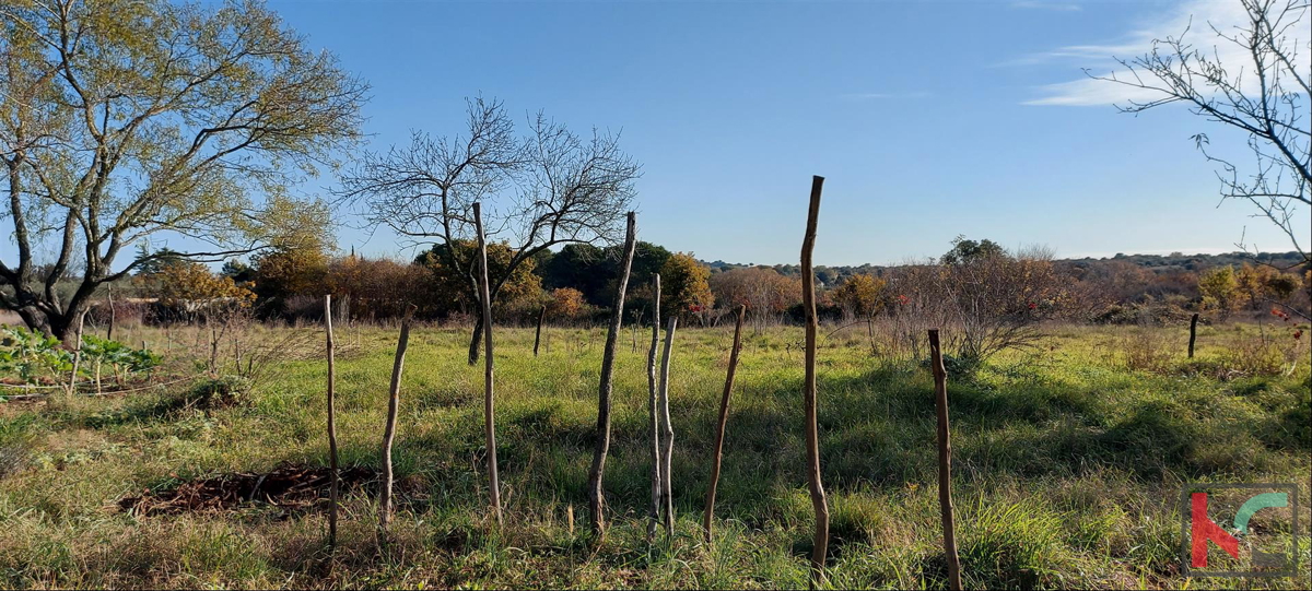 Istra, Rovinj, Veštar kmetijsko zemljišče 3187m2 z objektom 28m2