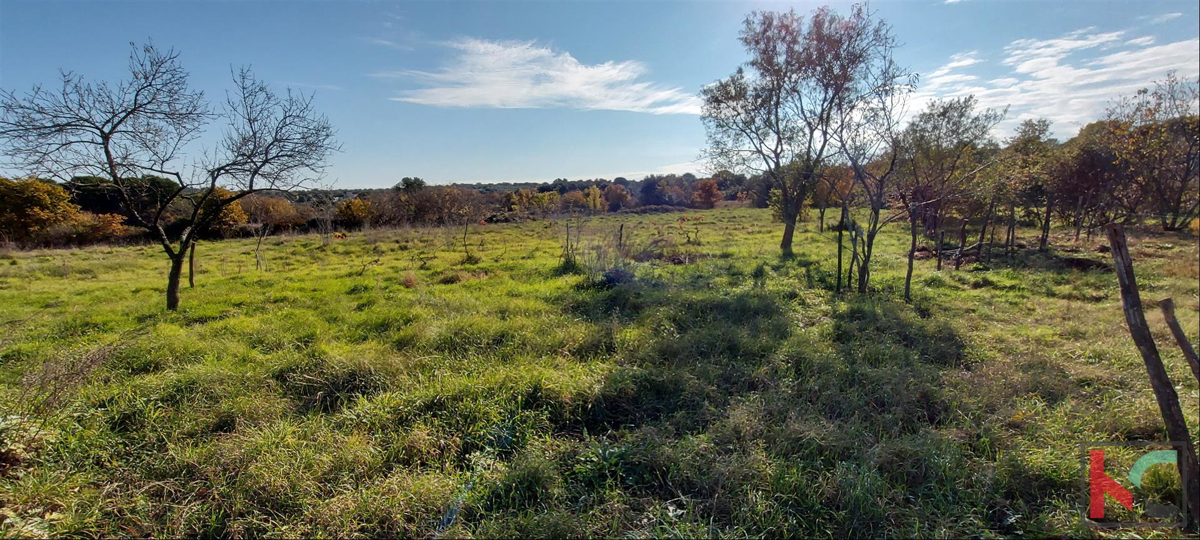 Istra, Rovinj, Veštar kmetijsko zemljišče 3187m2 z objektom 28m2