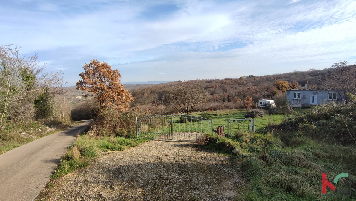 Istra, Mutvoran, kmetijsko zemljišče 12000 m2 z objektom v bližini Duge Uvale, #prodaja