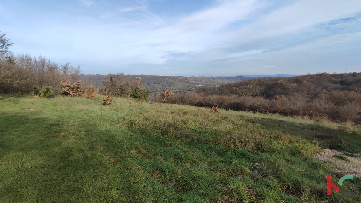 Istra, Mutvoran, kmetijsko zemljišče 12000 m2 z objektom v bližini Duge Uvale, #prodaja