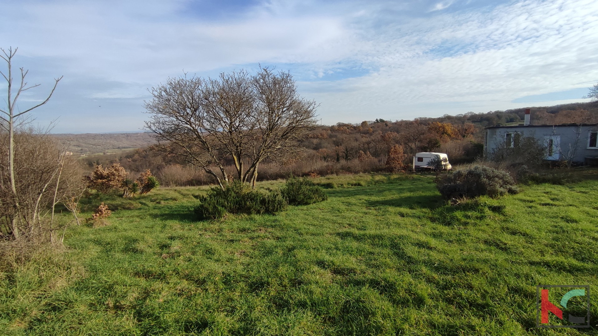 Istra, Mutvoran, kmetijsko zemljišče 12000 m2 z objektom v bližini Duge Uvale, #prodaja