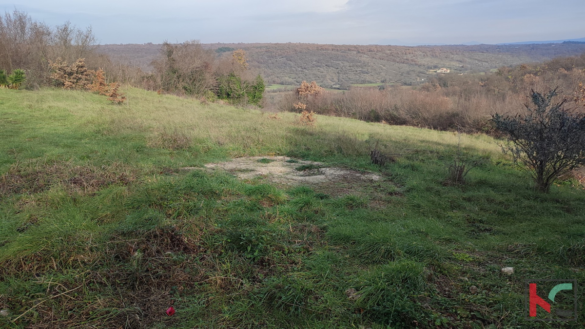 Istra, Mutvoran, kmetijsko zemljišče 12000 m2 z objektom v bližini Duge Uvale, #prodaja