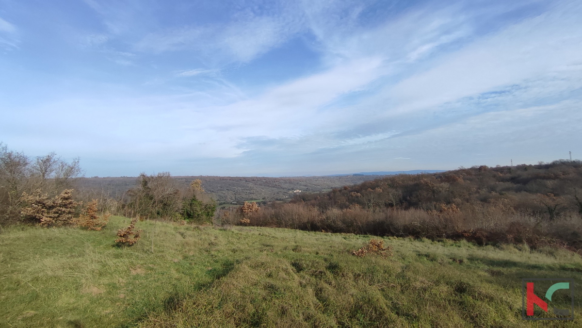 Istra, Mutvoran, kmetijsko zemljišče 12000 m2 z objektom v bližini Duge Uvale, #prodaja